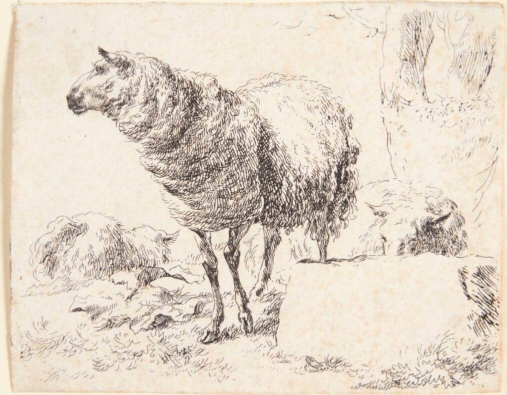 Et stående får by Nicolaes Berchem