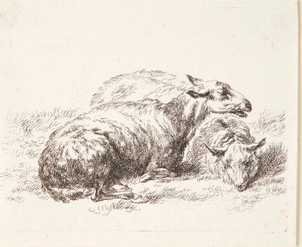 To liggende får by Nicolaes Berchem