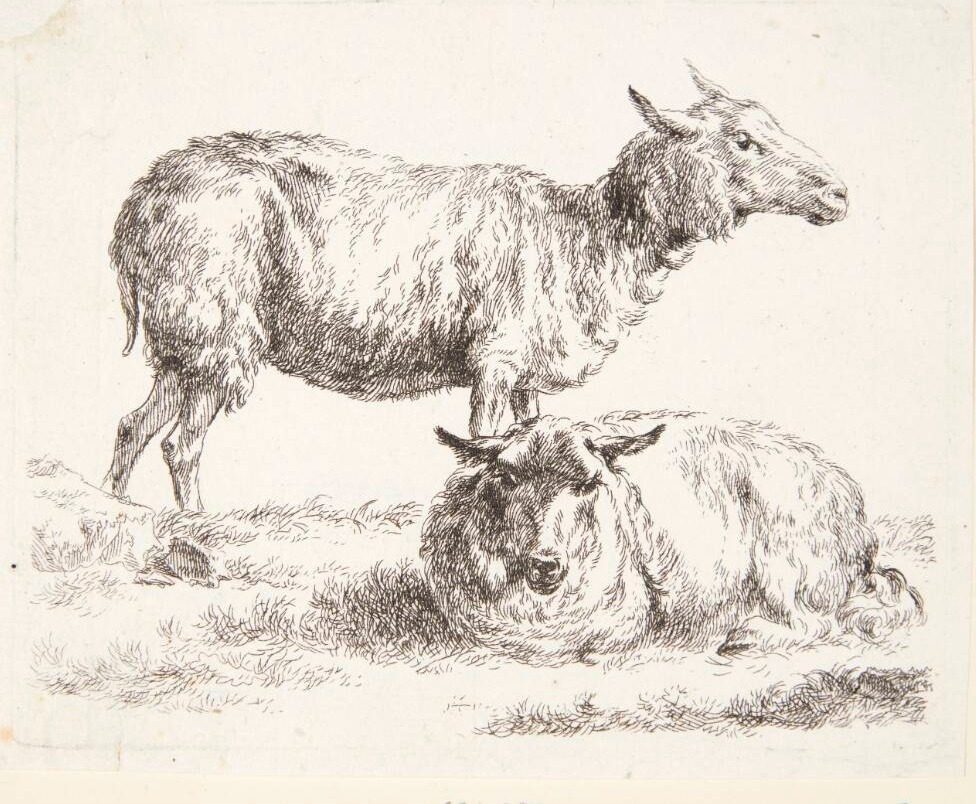 Et stående og et liggende får by Nicolaes Berchem