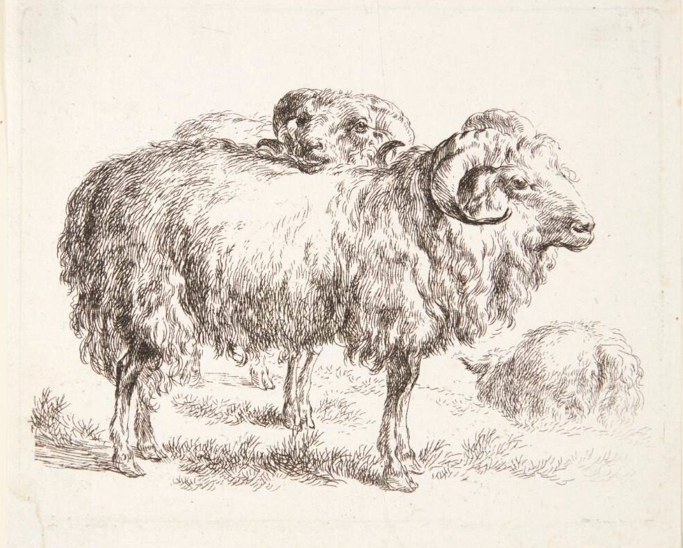 To væddere by Nicolaes Berchem