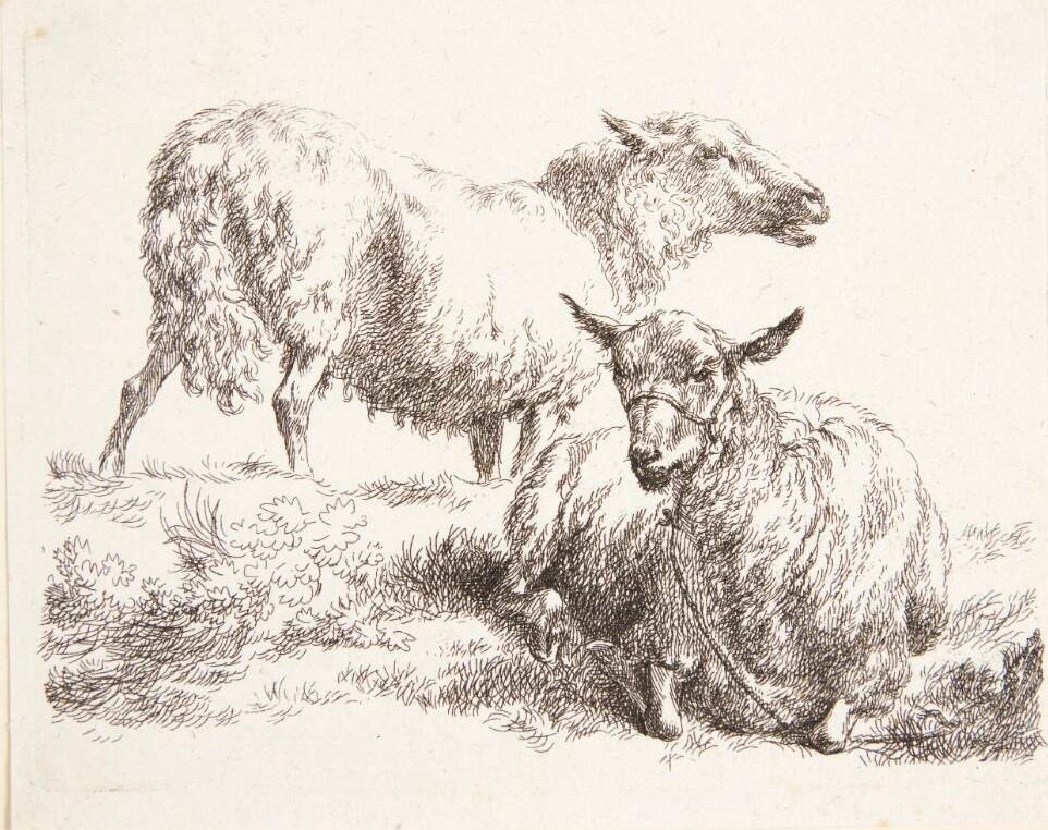 Et stående og et liggende får by Nicolaes Berchem