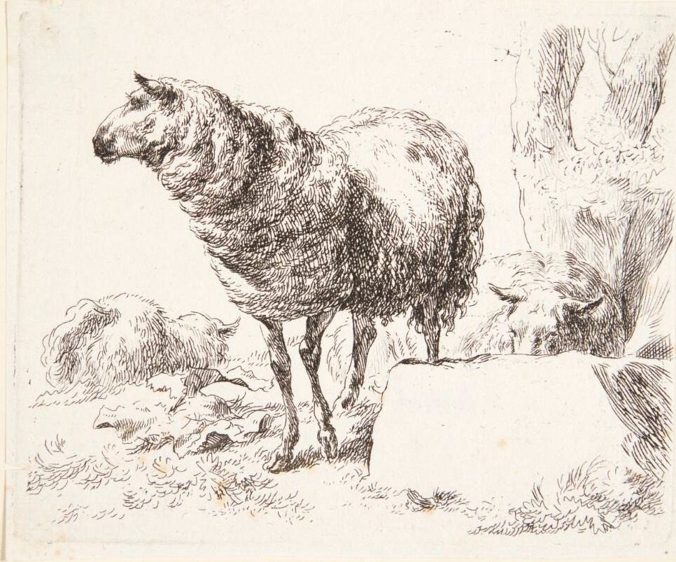 Et stående får by Nicolaes Berchem
