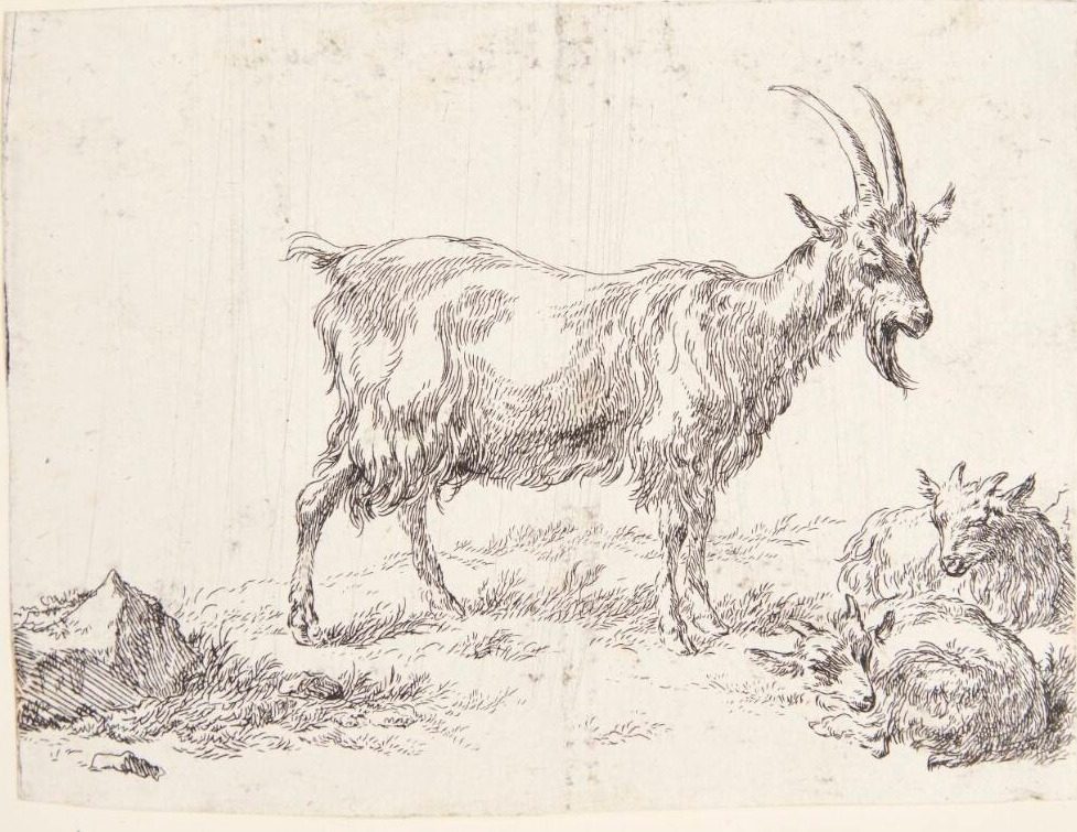 Stående ged og to gedekid by Nicolaes Berchem
