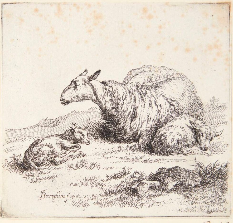 Liggende får med to lam by Nicolaes Berchem