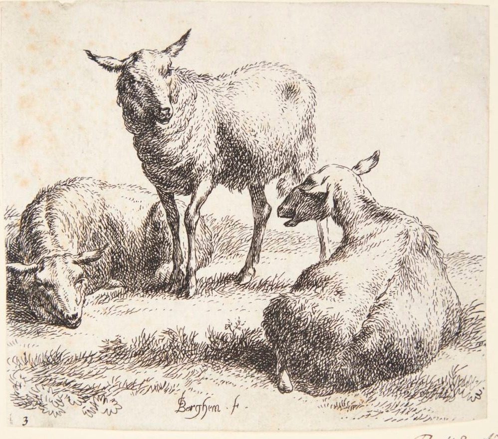 To liggende og et stående får by Nicolaes Berchem