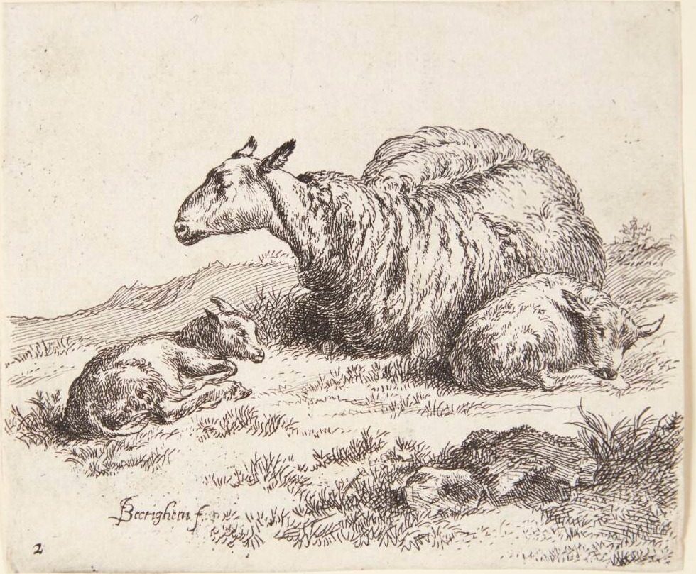 Liggende får med to lam by Nicolaes Berchem