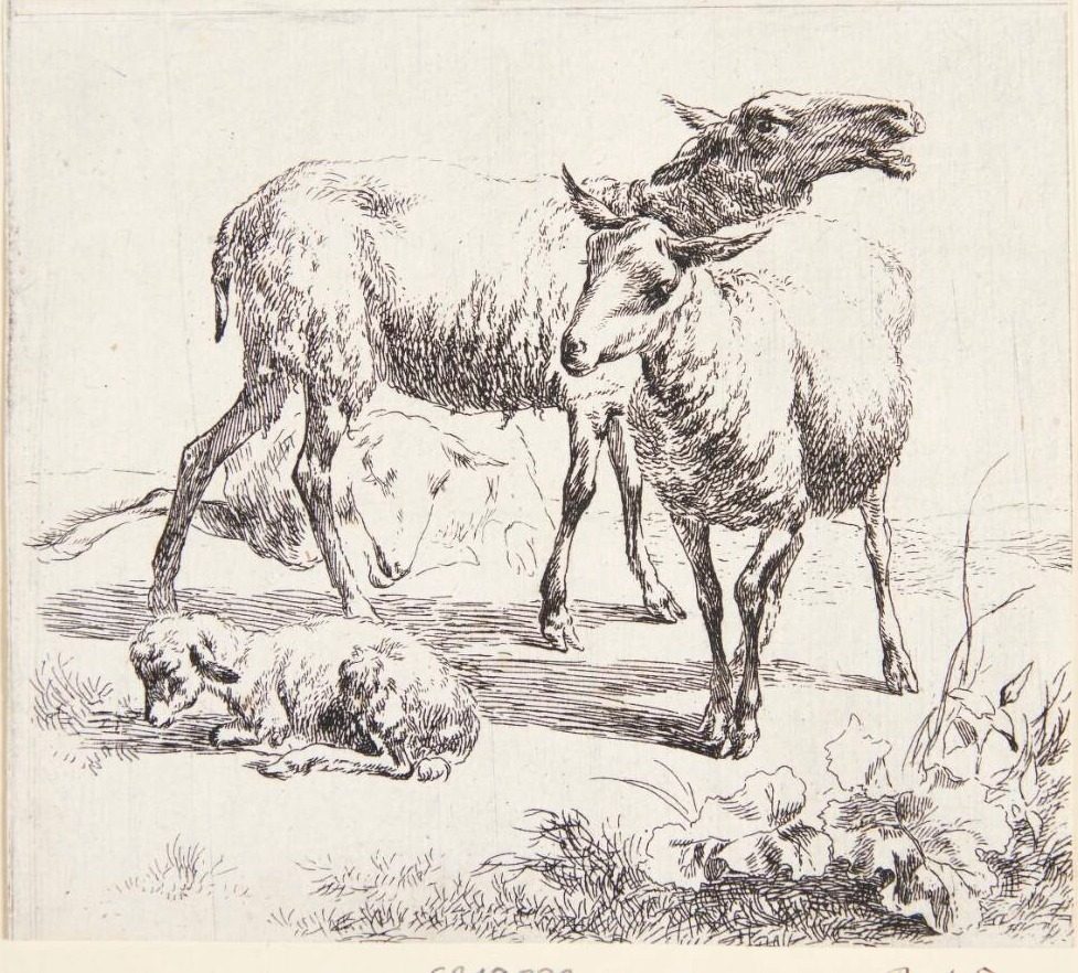 To stående får og et lam by Nicolaes Berchem