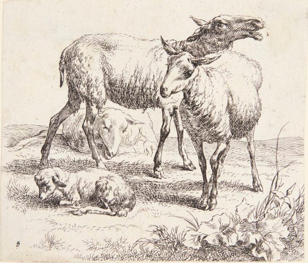 To stående får og et lam by Nicolaes Berchem