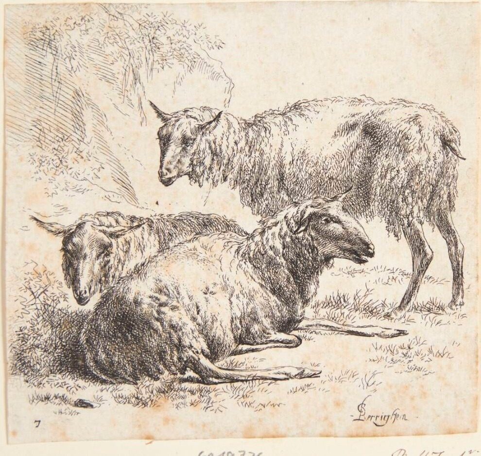 Tre får by Nicolaes Berchem