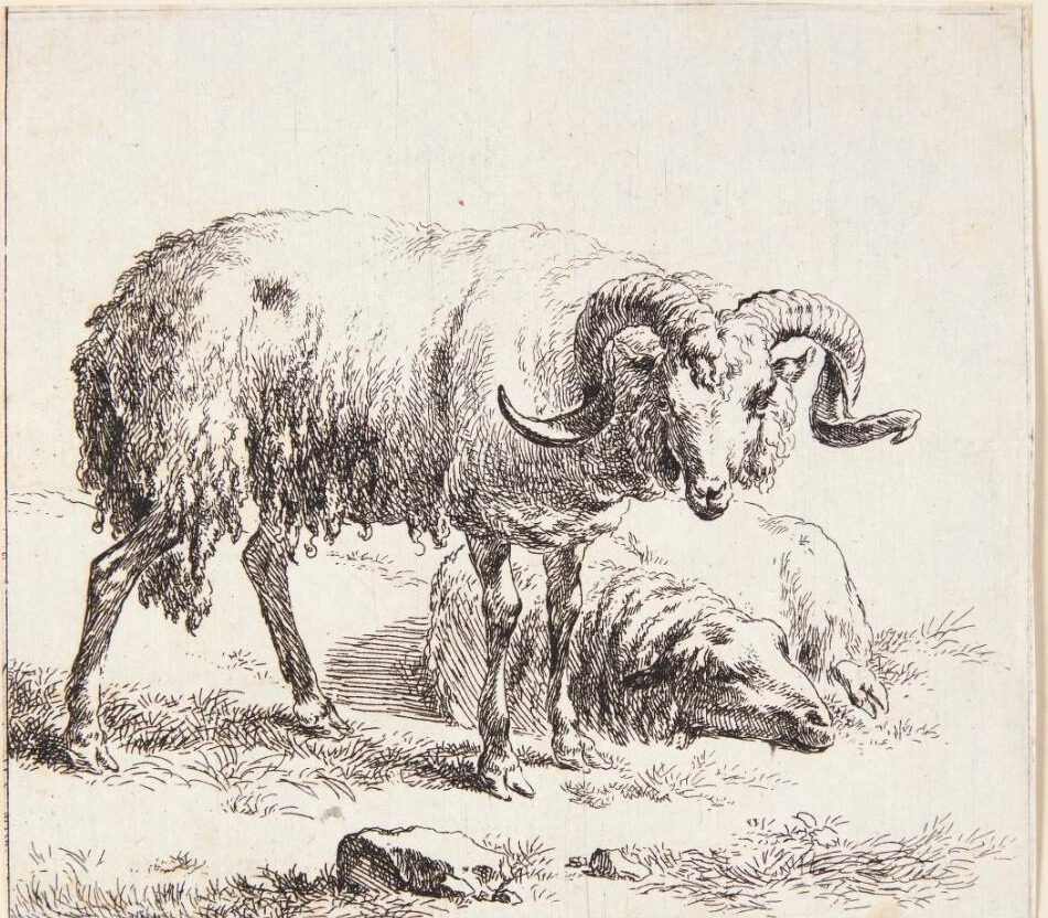 Stående vædder og et liggende får by Nicolaes Berchem