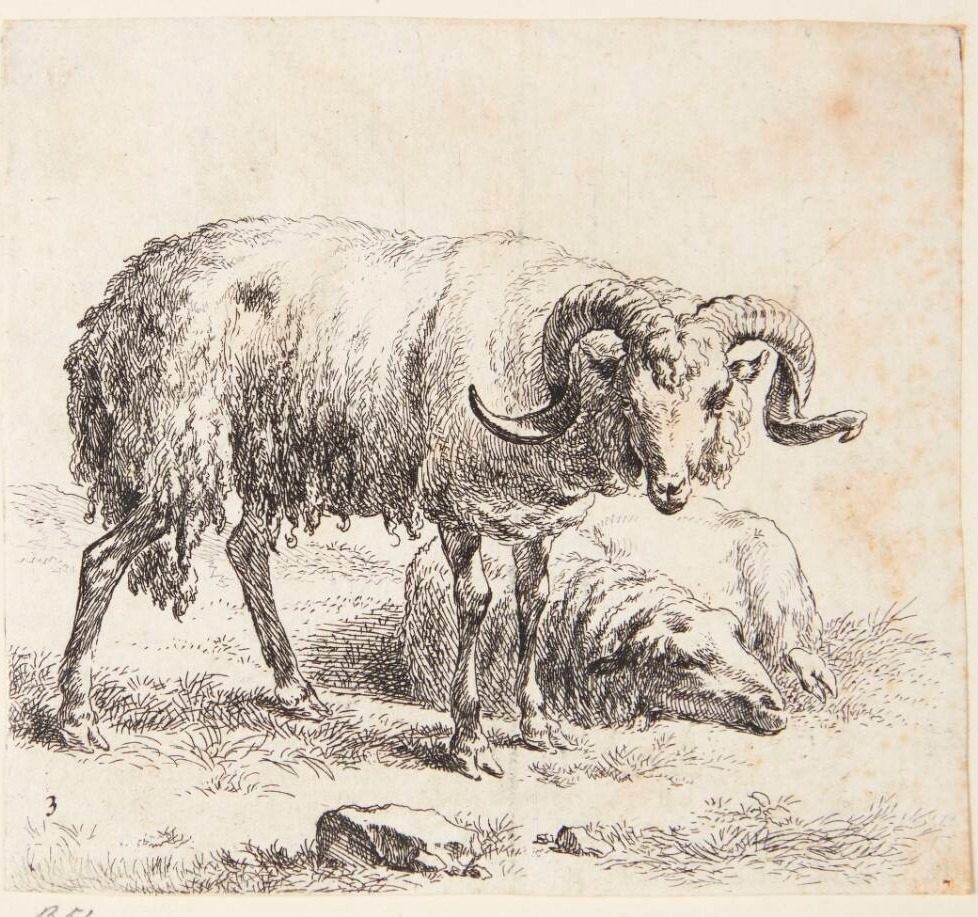 Stående vædder og et liggende får by Nicolaes Berchem
