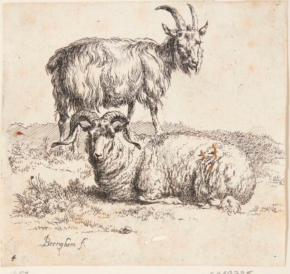 Stående ged og en liggende vædder by Nicolaes Berchem