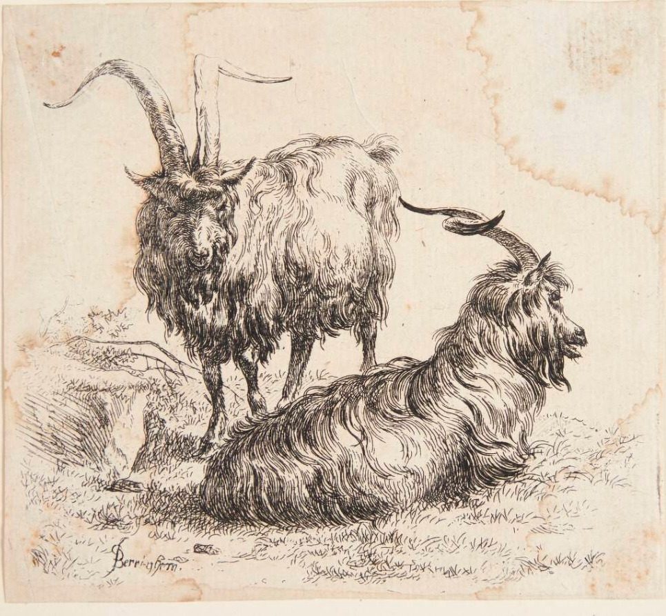 En stående og en liggende ged by Nicolaes Berchem
