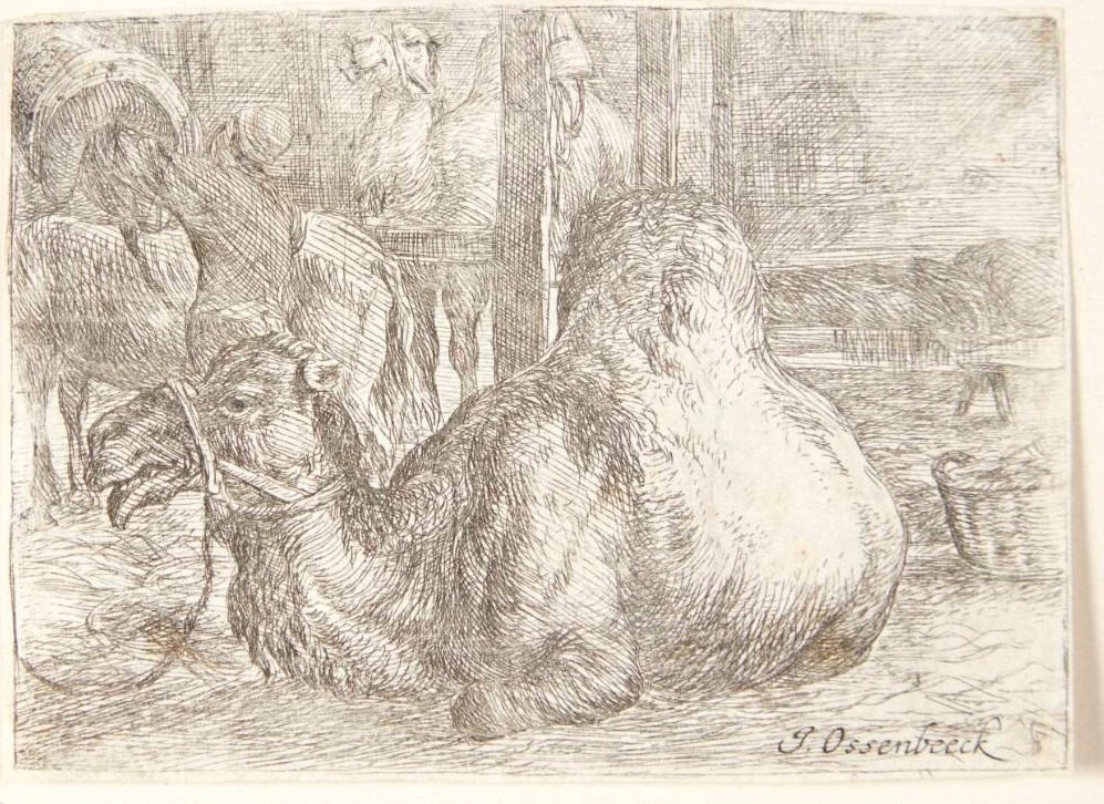Liggende kamel by Ossenbeeck, Jan van