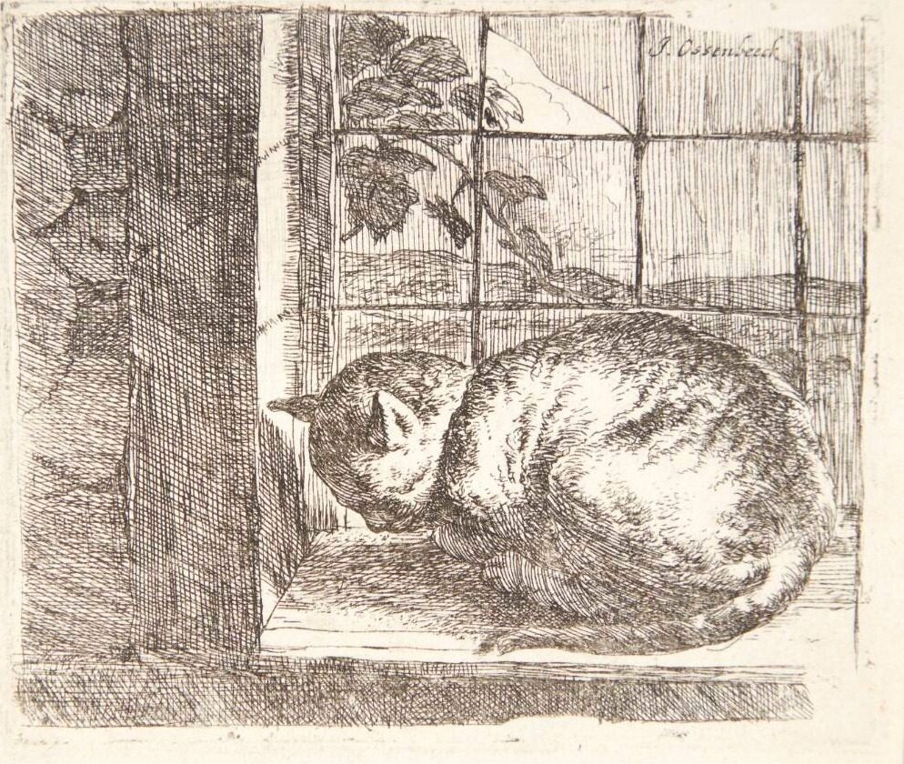 Liggende kat i et vindue by Ossenbeeck, Jan van