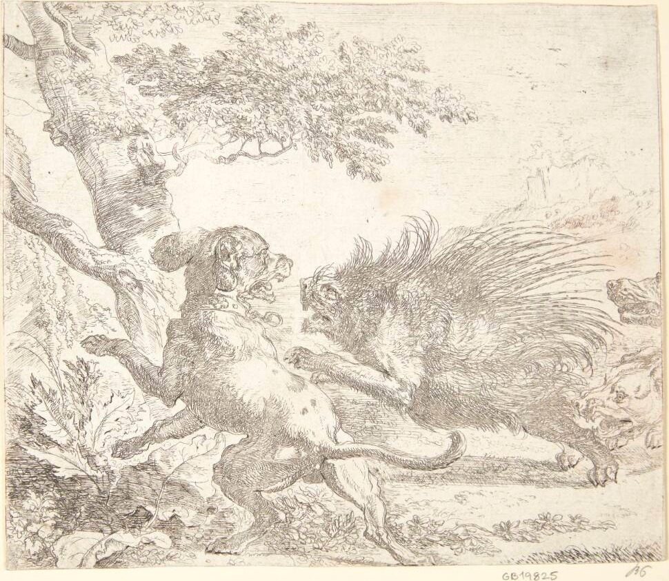 Hulepindsvin jagtet af hunde by Abraham Hondius