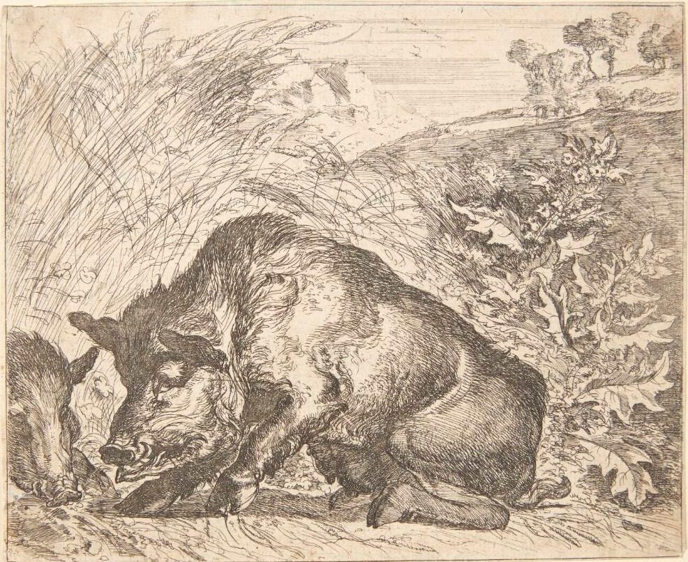 To vildsvin by Abraham Hondius