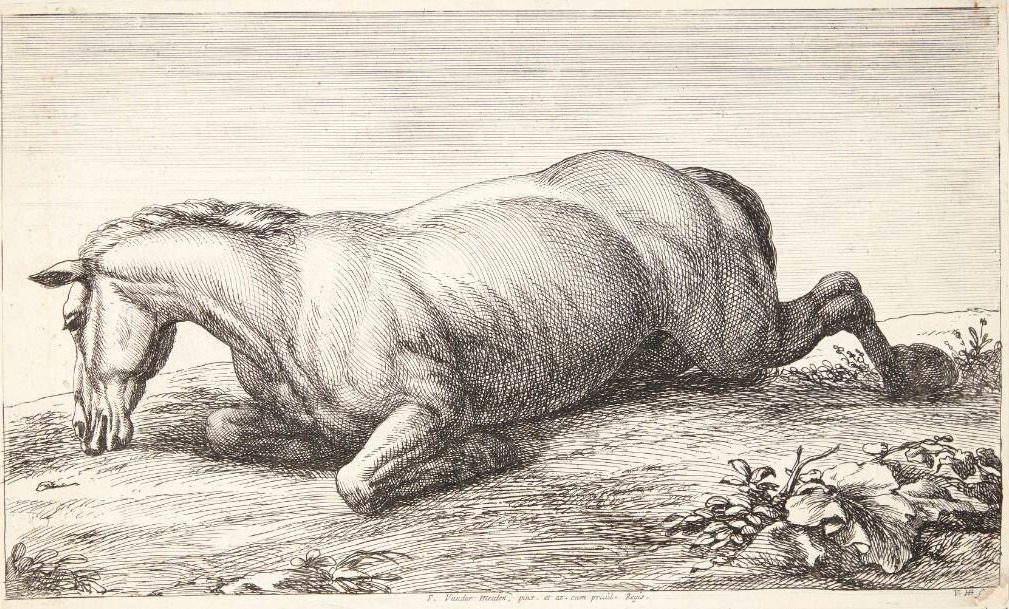 Falden hest, vendt mod venstre by Jan van Huchtenburg