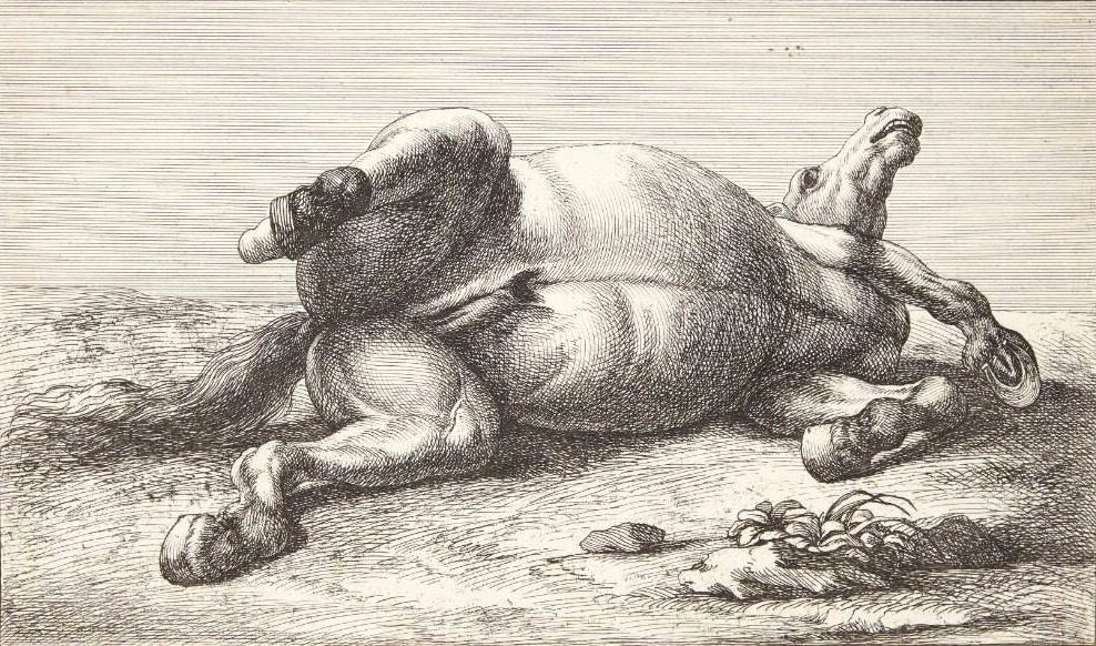 Falden hest by Jan van Huchtenburg