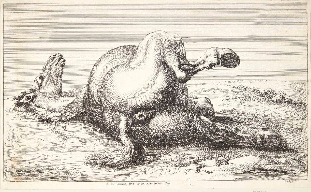 Falden hest, set bagfra by Jan van Huchtenburg