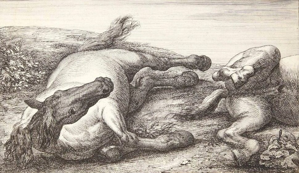 To faldne heste by Jan van Huchtenburg