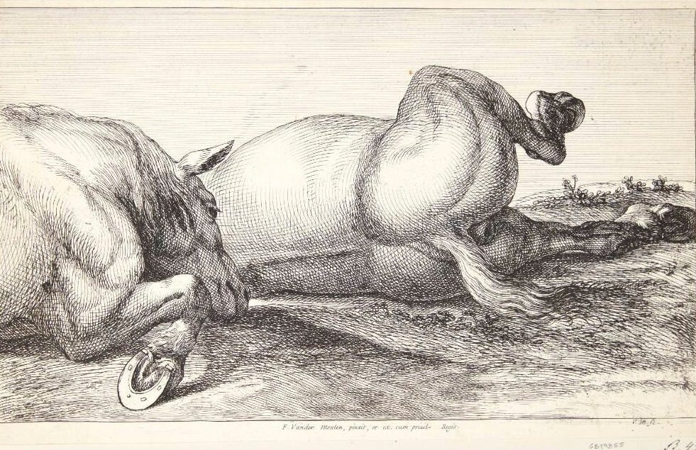 To faldne heste by Jan van Huchtenburg
