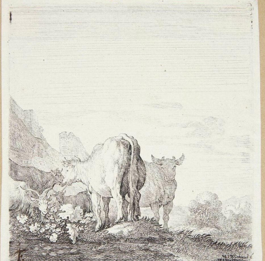 Køer og geder i et landskab by Moyses van Wtenbrouck
