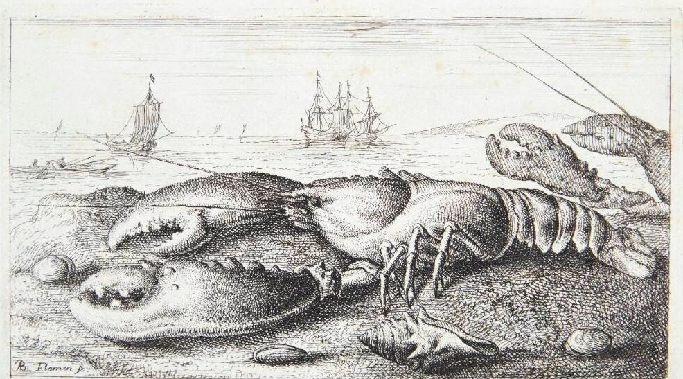 Hummeren (Camarus) by Albert Flamen