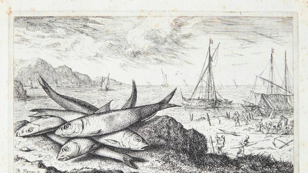 Sardinen (Sarda) by Albert Flamen