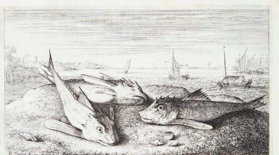 Fløjfisk (Lyra) by Albert Flamen
