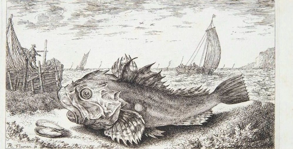 Knurhane (Cuculus) by Albert Flamen