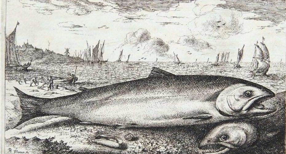 Laksen (Salmo) by Louis de Deyster