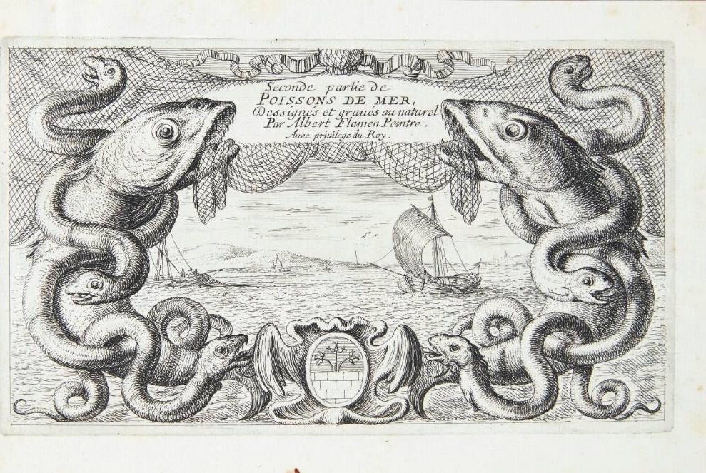 Titelblad til "Saltvandsfisk". Anden del by Albert Flamen