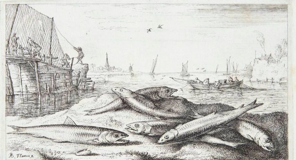 Smelten (Eperlanus) by Albert Flamen