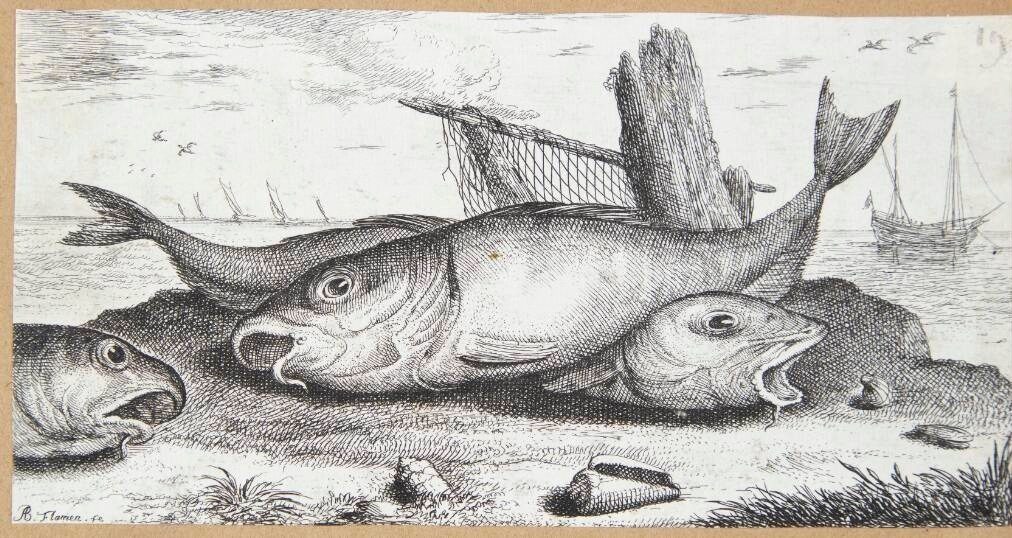 Kuller (Edefinus) by Albert Flamen
