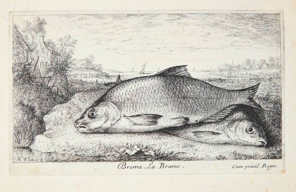 Brasen (Brema) by Albert Flamen