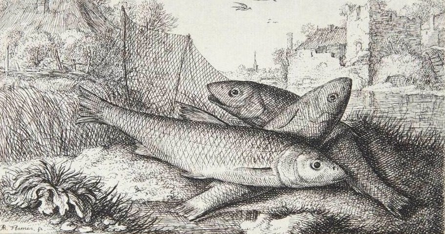 Strømskalle (Leuciscis seu Dardus) by Albert Flamen