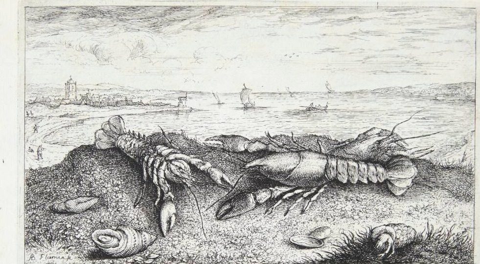 Krebsen (Astacus fluuiatilus) by Albert Flamen
