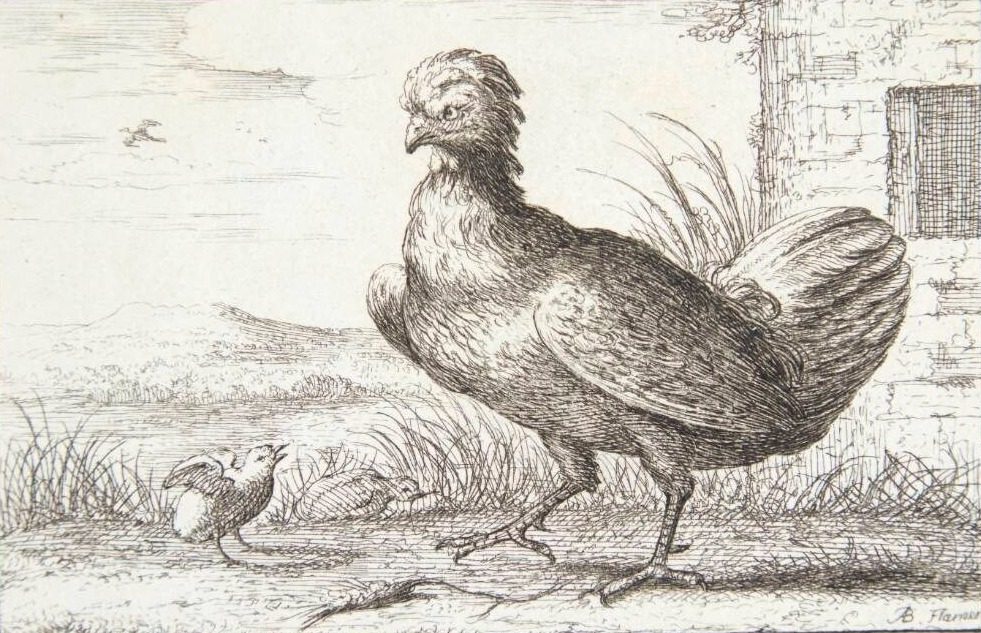 Hønen (Gallina) by Albert Flamen