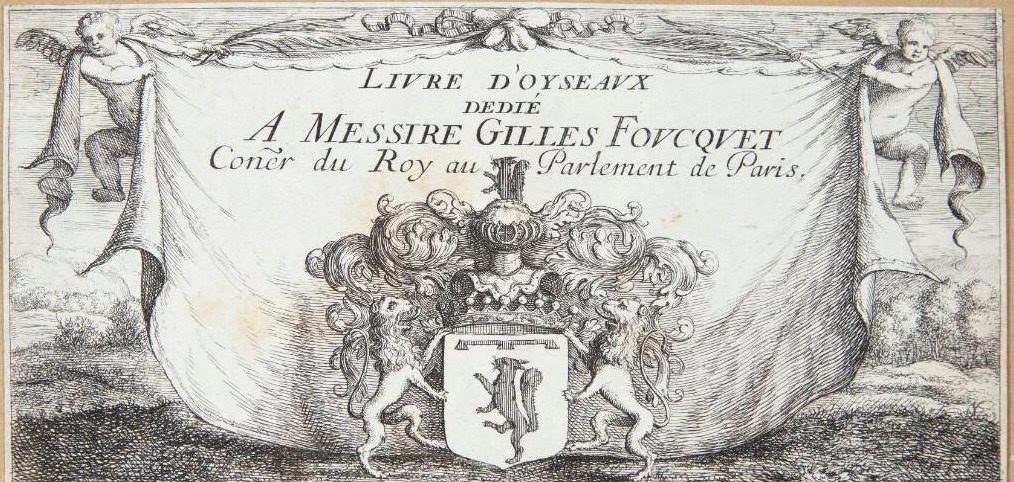 Titelblad til "En bog om fugle" by Albert Flamen