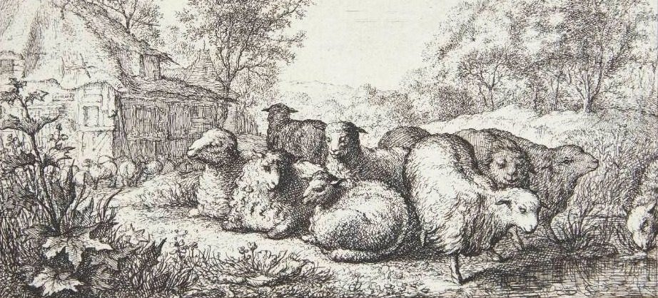 Får by Albert Flamen