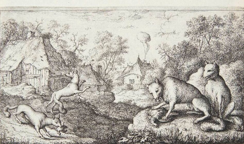 Ræve by Albert Flamen