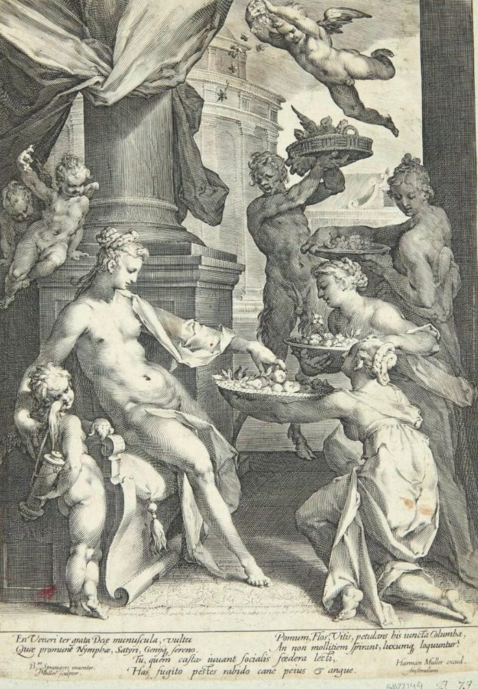 Venus æret af nymferne by Jan Harmensz. Muller