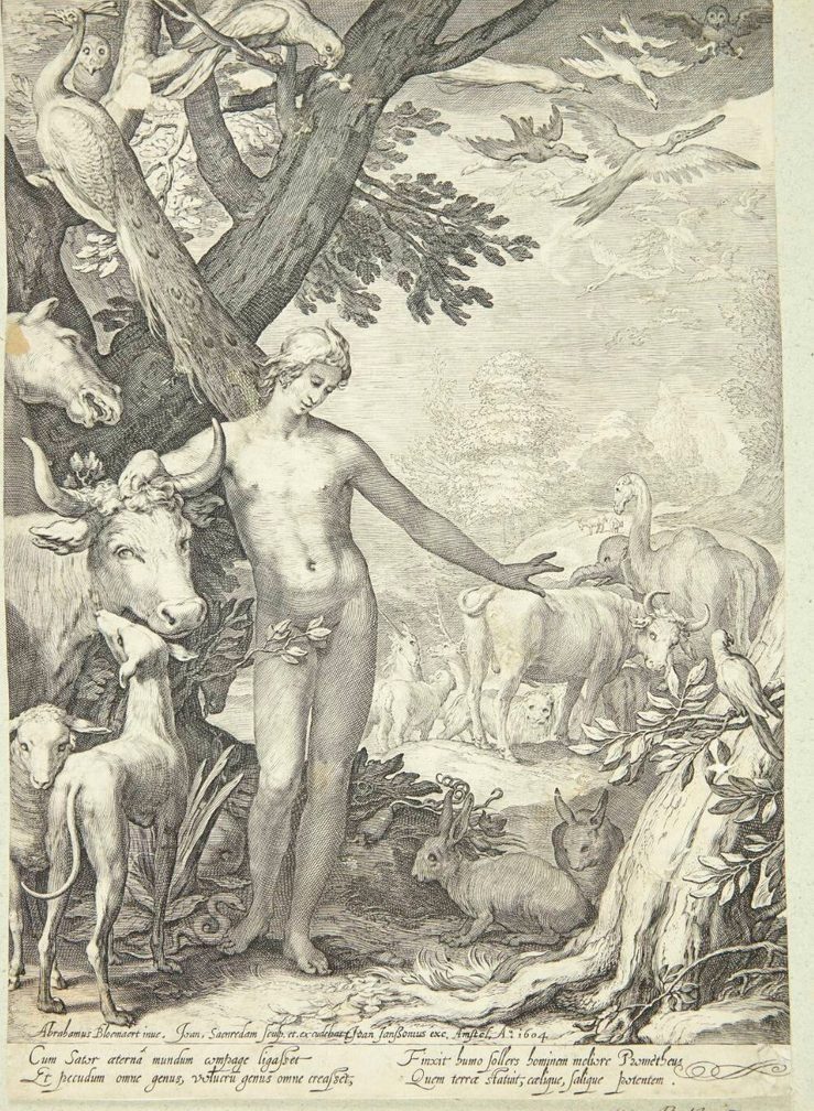 Adam navngiver dyrene by Jan Saenredam