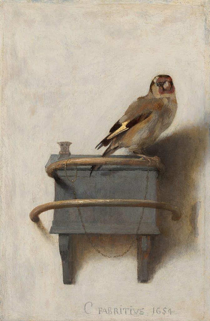 الحسُّون The Goldfinch by Carel Fabritius