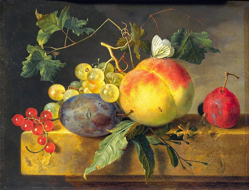 Fruitstilleven. Fruit Still-life by Jan van Huysum