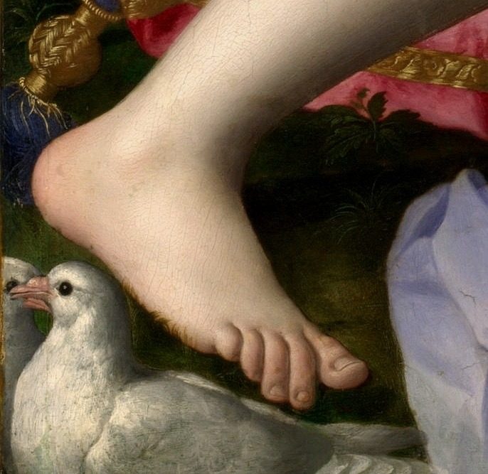 Foot detail from Venus, Cupid, Folly and Time by Agnolo Bronzino by Bronzino