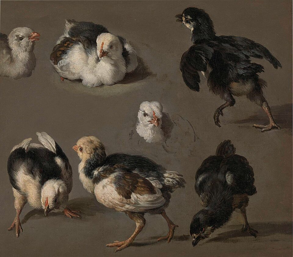 Sept poussins by Melchior d'Hondecoeter