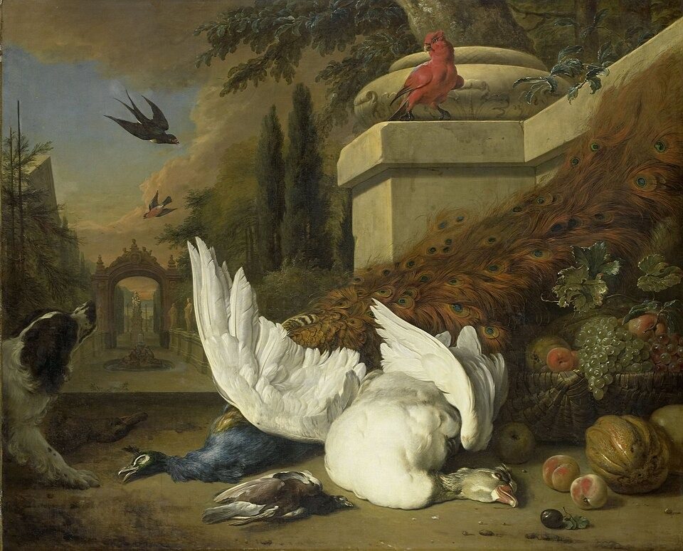 Een hond bij een dode gans en een pauw, SK-C-264 by Rijksmuseum