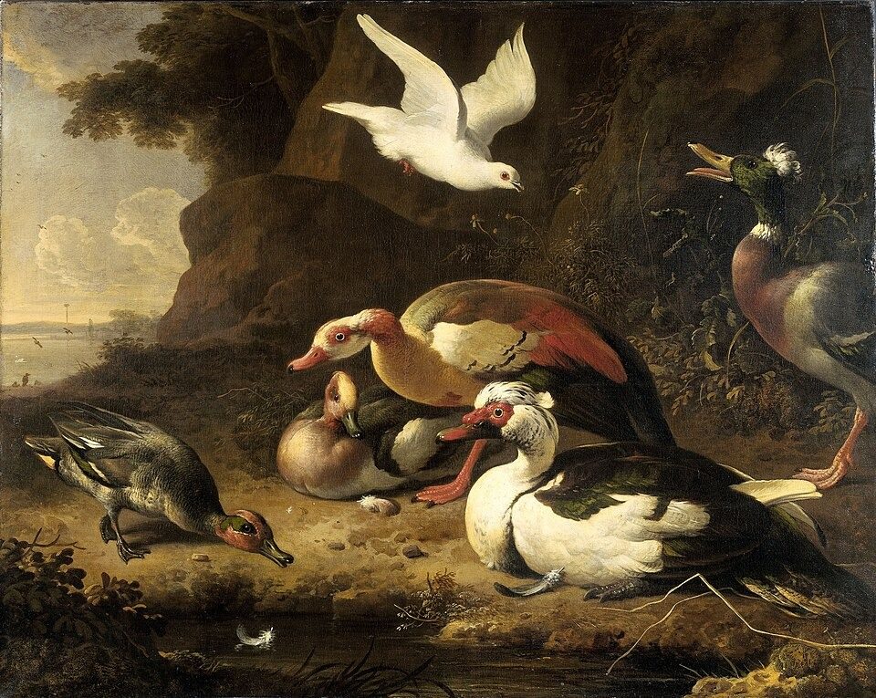 Eenden, SK-A-172 by Rijksmuseum